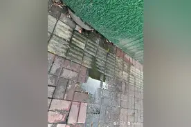 路边井盖污水外溢，臭味难闻！市民盼望彻底解决图片