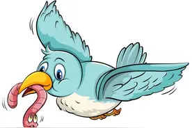 青未了|小鸟，我爱你图片