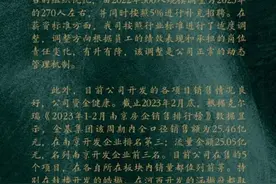 南京“黑马”房企大幅降薪裁员？金基地产：管理需要，有一定幅度的调整图片