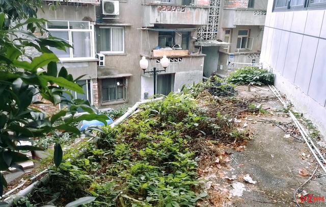 教师被举报猥亵后坠亡 民警因疏忽自责