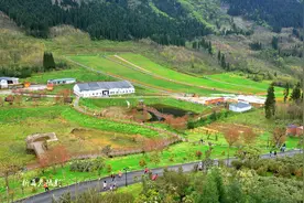 又见花开都江堰 | 春风有信 ，花开有期！去虹口花谷，一路抵达繁花胜景～图片