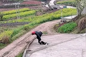 七旬老人阻拦偷狗男子被推倒 警方回应：已抓到涉事者图片