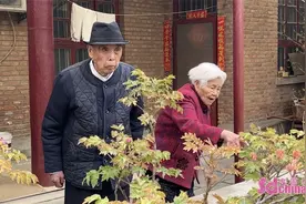 陪嫁牡丹 传了半个多世纪 菏泽祖孙三代接力守护图片