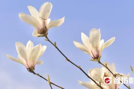 出发！打卡人民广场！图片