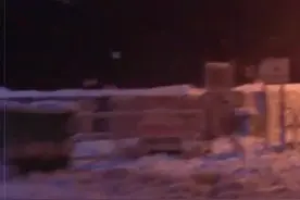 智利一海滩被白色泡沫覆盖 目击者:最初只有一团图片