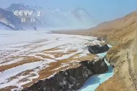 新疆700多万牲畜开始转场 羊群“出行”升级乘专车转场图片
