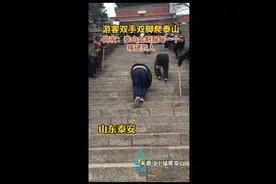 游客双手双脚爬泰山，网友：泰山会制服每一个嘴硬的人图片