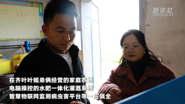 这些大学生成为“新农人”