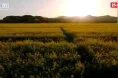视频丨怀化辰溪：晚风依旧温柔 适合慢慢走图片