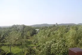 古学霸趣闻|被黄巢造反队伍所杀的状元郎图片