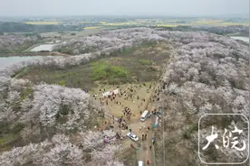 相约安徽·向春而行｜安徽郎溪：千亩樱花烂漫盛开图片
