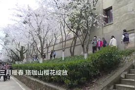 新华全媒+|一诺三年！武汉大学邀医护人员回“珈”赏樱图片