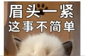 “钱都交了，为什么录取名单里没有我？”图片