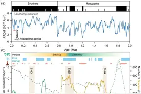 潘永信等-NSR：地磁场极性倒转对生物有何影响？图片