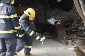 “泼猴”闯入农家“称王称霸”，难抵美食诱惑最终“落网”图片