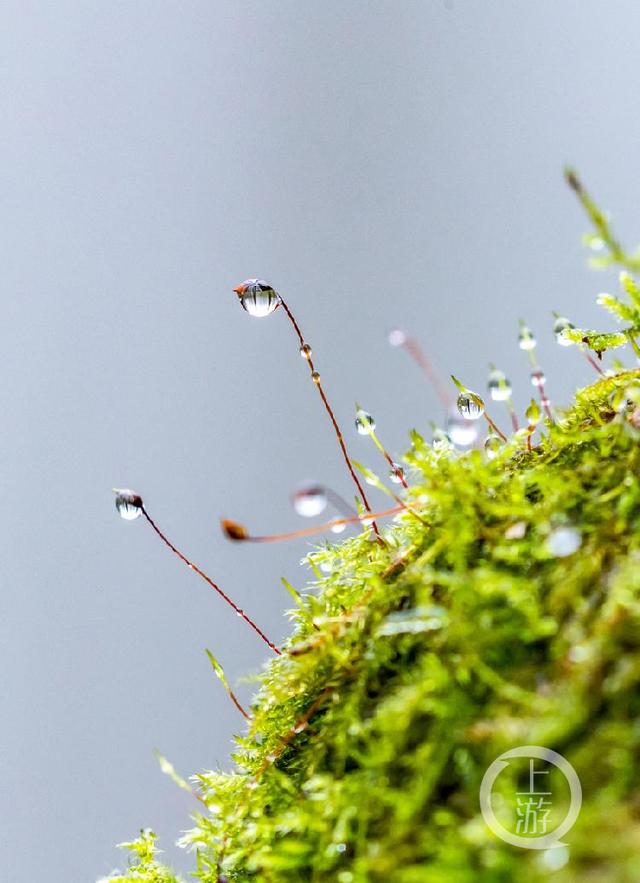 夜雨丨陈金凤：我们的执着