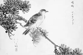 让大学生乐于认知古籍的若干方式图片