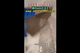 老人卖2000斤小麦掺约400斤沙子，收购者:损失600多元图片