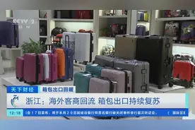 客商回流，箱包出口复苏！企业多渠道促增长：贴牌代工→自建品牌，毛利润5%→20%图片