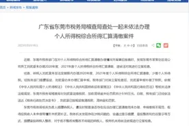 男子两年未办理个税汇算，补税+罚金近10万！最新提醒图片