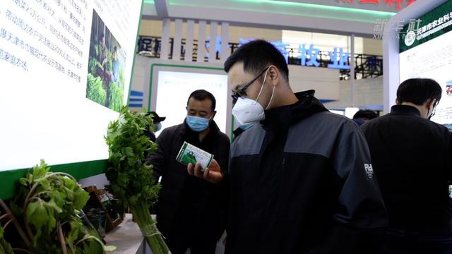新华全媒+｜记者观察：攥紧农业“芯片”，加快打造中国种业企业“领头雁”