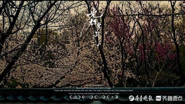 红尘俗世，不论悲喜，向美而行，终究会遇见花开，遇见春天