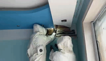 家中异响不断！敲开卧室吊顶后，杭州男子吓了一跳……
