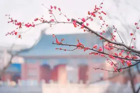 交大×华师，邀你一起向未来图片