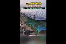 主人进笼子教训狗，不料反被狗子“反杀”图片