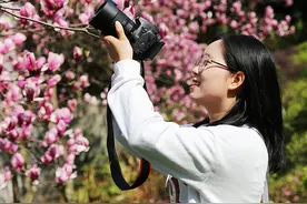阳春三月百花艳 踏青赏花正当时图片