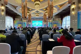 威海荣成：向海图强，聚力做好海带产业发展文章图片