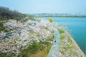 宜居宜业新栖霞，锚定打造南京高质量发展“新高地”图片
