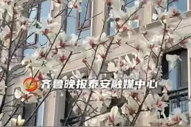 3月21日5时24分泰安迎来春分，你闻到了吗？风里春的味道图片