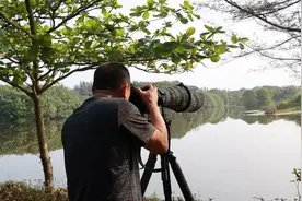 昌江：生态环境持续向好 吸引鸟类摄影爱好者前来“打卡”图片