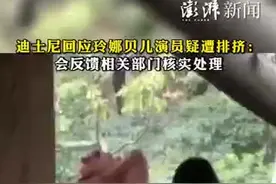 看丹观察丨“玲娜贝儿演员疑遭排挤”上热搜！童话世界为何“不童话”了？图片