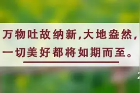 春分丨人间万物皆恰好，莫负春光莫负卿图片