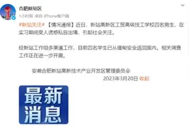 太好了！他们已回国！图片