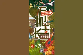 万物生长-中国珍稀野生保护生物24节气图鉴图片