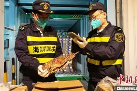 文莱进口“锦绣龙虾”首次“登陆”上海图片