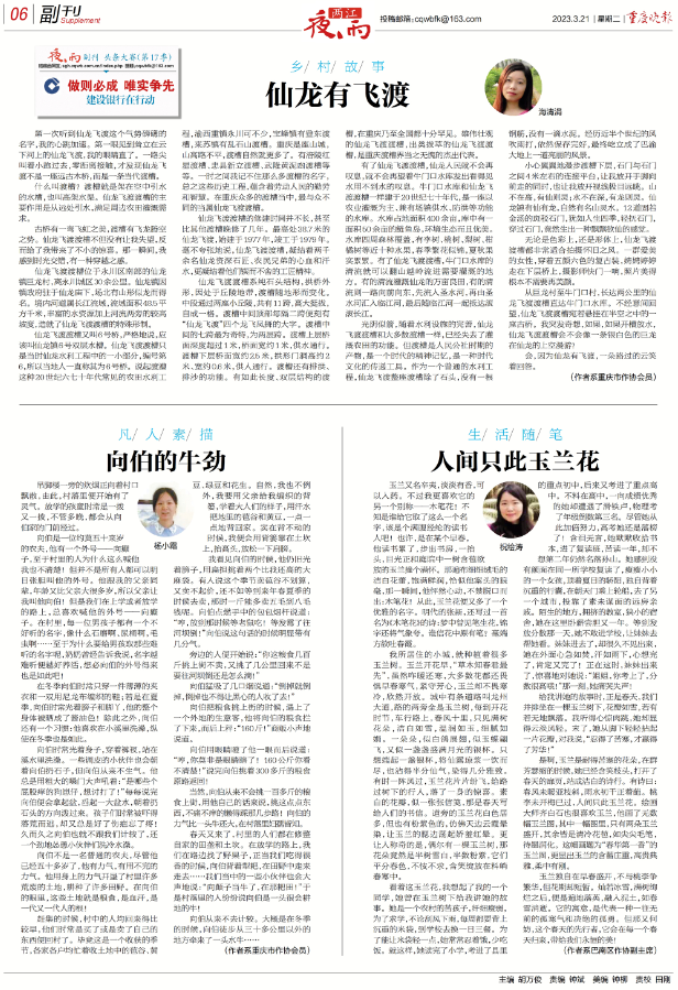 夜雨丨杨小霜：向伯的牛劲