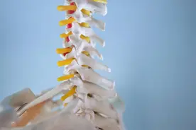 颈椎病中有“三最”图片