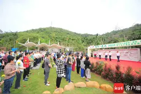 如何申请人体器官捐献？海南已累计24433人志愿登记成为人体器官捐献志愿者图片