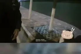 胆挺大！女子深夜酒驾还带娃，被查后任性撒泼崩溃大哭……图片