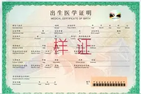 出生证明出新版了，这样的！图片