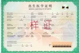 出生证明出新版了，这样的！图片