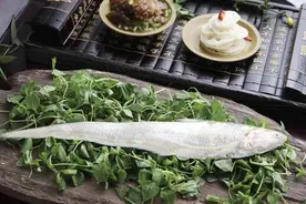 “开春第一鲜美之肴”，春馔妙物说刀鱼图片