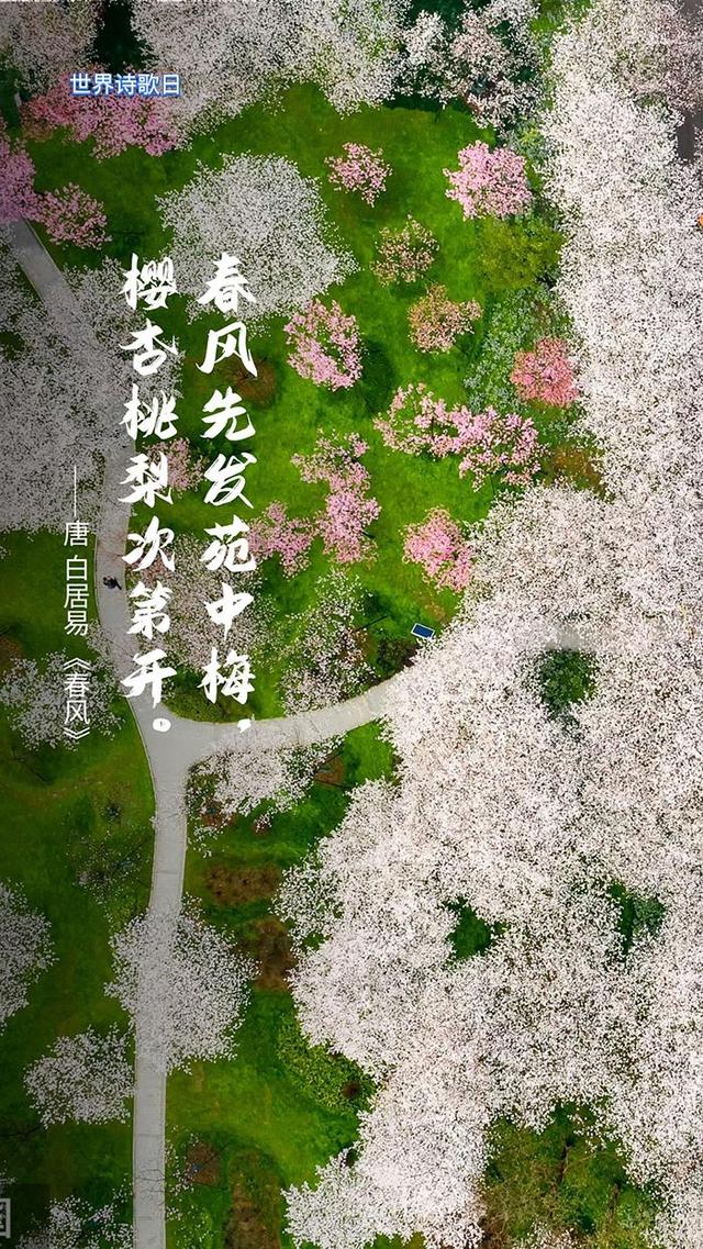 美学云课堂 | 世界诗歌日，撷一片诗意送给春天
