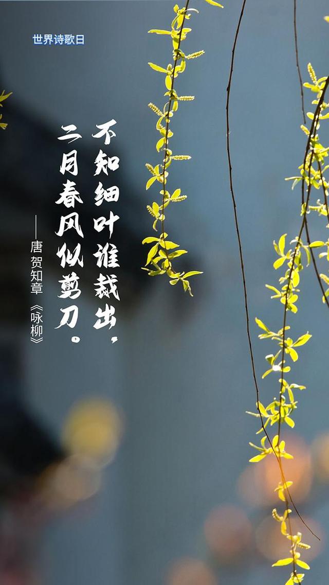 美学云课堂 | 世界诗歌日，撷一片诗意送给春天