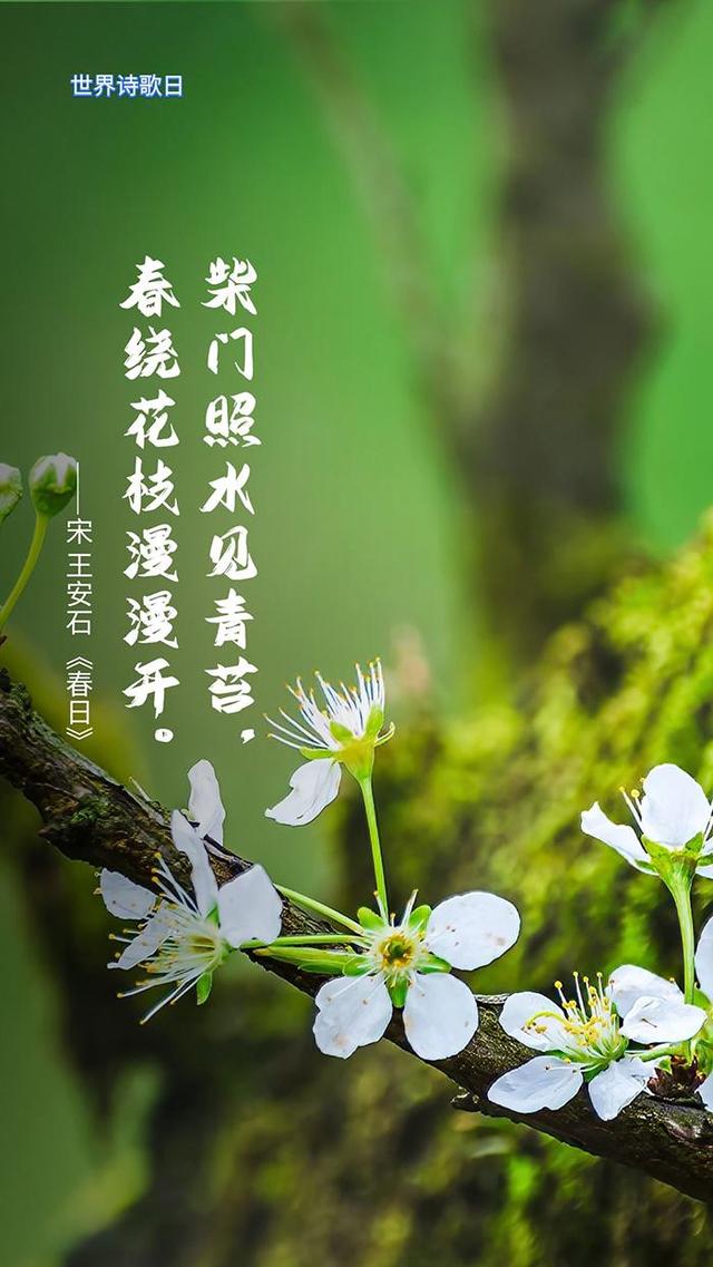 美学云课堂 | 世界诗歌日，撷一片诗意送给春天