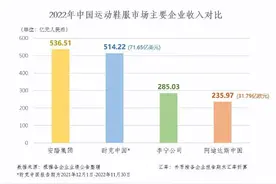 强信心穿越周期  安踏集团2022年收入首超500亿图片